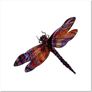 Ornate Dragon Fly Colorful Insect Illustration Posters and Art